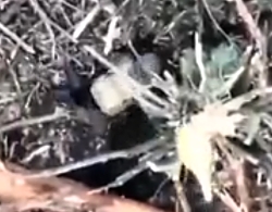 Collection of UA drone drops