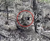 Adam tactic group send a thermobar into a hole where a RU is hiden