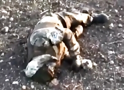 UA soldier shows a trench with multiple RU bodies