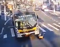 A 31-year-old woman died after being hit by a bus