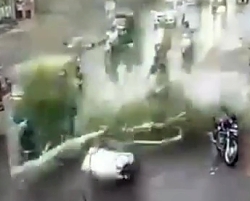 Tree branch falls on motor-scooter