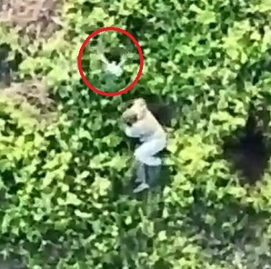 Two UA drones attack RU MT-LB and its crew with grenades