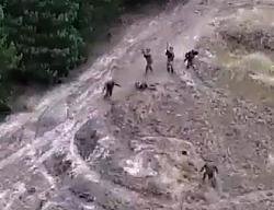 Extended version of the ORCs killing ORCs