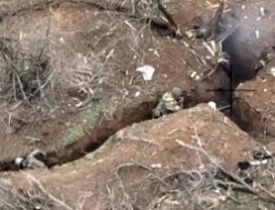 ORCs storm AFU trench (full combat)