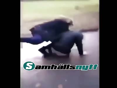 Swedish migrant school gang stomps a blonde girl 