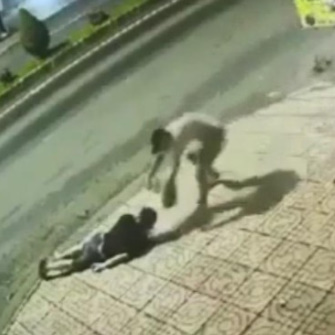 The Young Man was Knocked Unconscious by a Psychopath, Splashed with Boiling Water