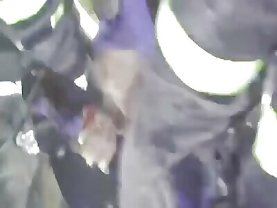 Firefighters Find Many Bodies