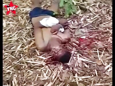 Another Brazilian Victim of Urban Violence