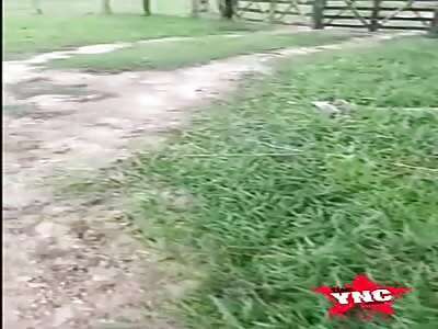 Corpse found next to dirt road.