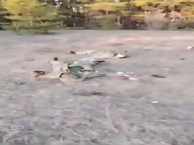 Forest Is Littered With Dead Ukrainian Soldiers