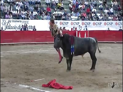 Here, take your skewer back