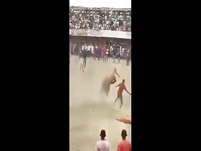 Bull brutally killing 2 people