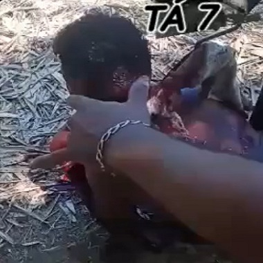 These Savages Think It's a Fucking Game!!!