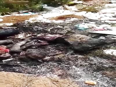dismantled and burned body