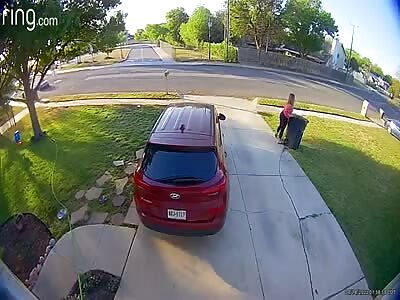 Just Trying to take her Trash Out When........