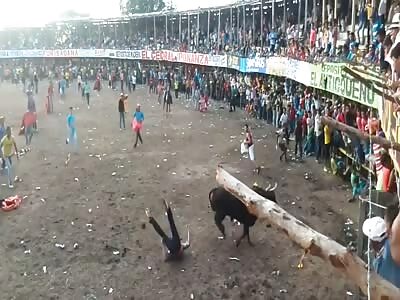 The bull that loves to fuck his victims