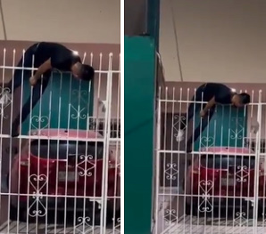 Get Me OFF of Here..Thief's Torso Impaled on Iron Fence