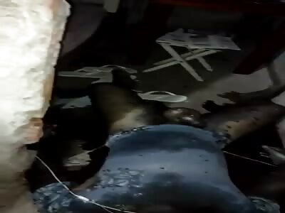 Man with his inflated balls dead rotten