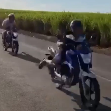 From the series How to Fuck Your Own Life