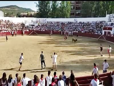 Somersault very wrong