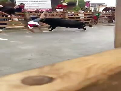 Brutal attack on a motherfucker's leg