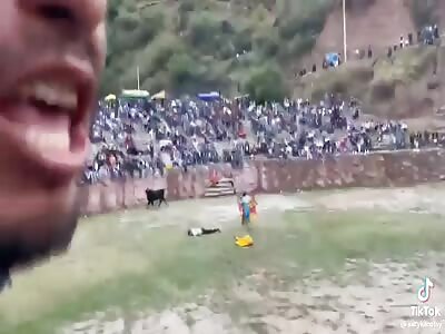 Never disturb Peruvian bulls