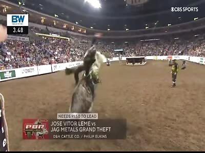 American bull fucks a Brazilian at the rodeo