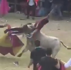 The satanic bull of the equator