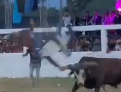 Mexican lollipop, what a fucking demoniac bull is this