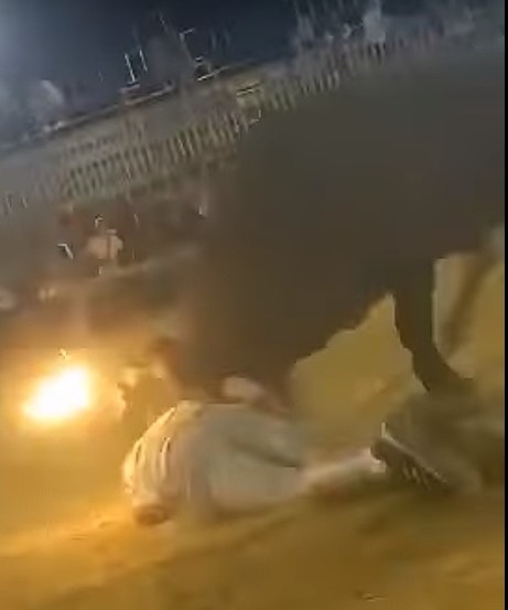 Bull on fire to get revenge on a motherfucker