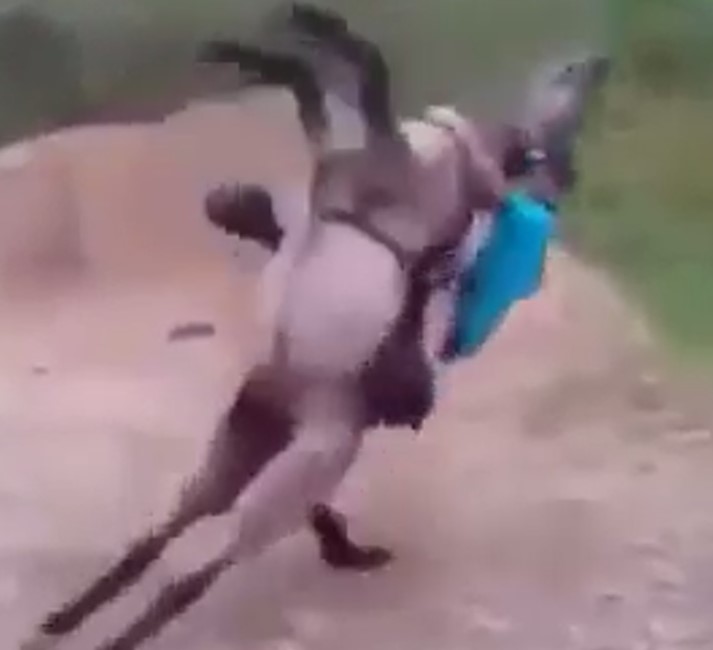 Crazy horse, applies a kneading to the boy