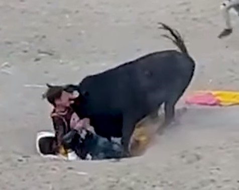 A brutal and crazy way to die 