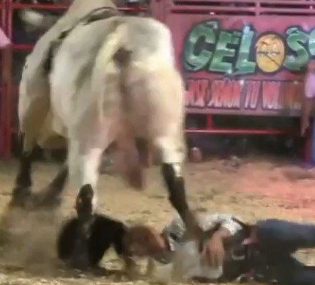 Feel the weight of my motherfucking paw