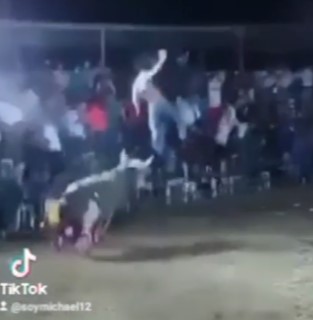 BULL FROM HELL, threw a victim and crushed him