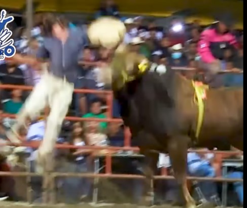 Second Warning Do Not Disturb Mexican Bulls