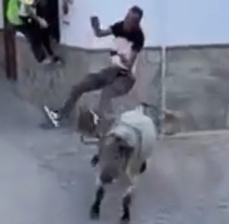 Continuation of bullfighting in Spain