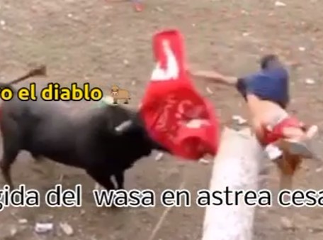 when the Colombian bulls decide to spare their victims