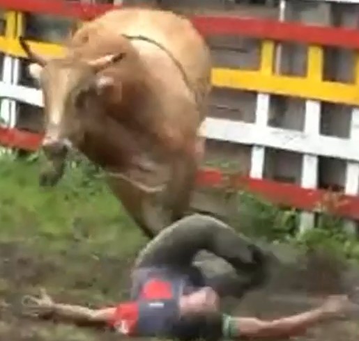 Mexican bullfighters trampled