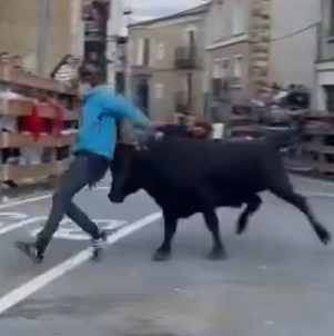 Gored For Fucking Around During Spanish Bull Festival.