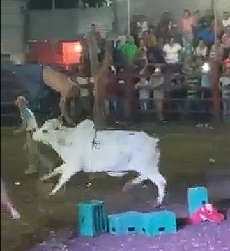 Huge man was thrown to the heights