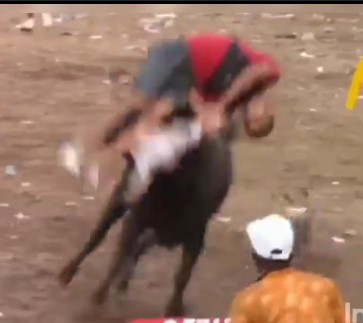 Revenge of the Bulls at Colombian Festivals