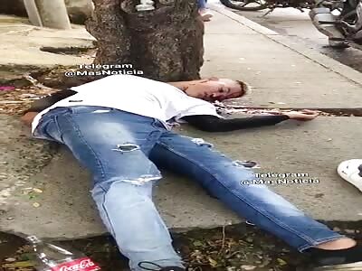 Thief shot in the head by victim