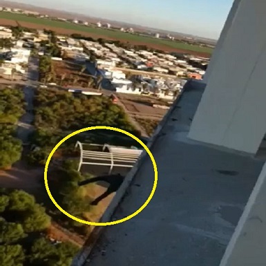 Watch Me Jump This Building