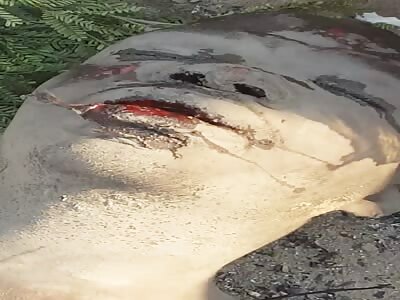 The Thief was set on fire