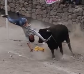 Bulls Having the Time of Their Lives.