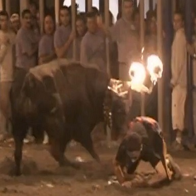 You Think the BULL is Ever Going to Lose???