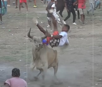 Running of the Bulls in America