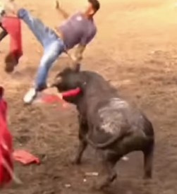 brutal , so were the attacks in colombia