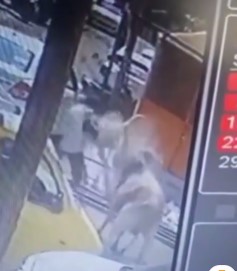 Taurus applies double knockout