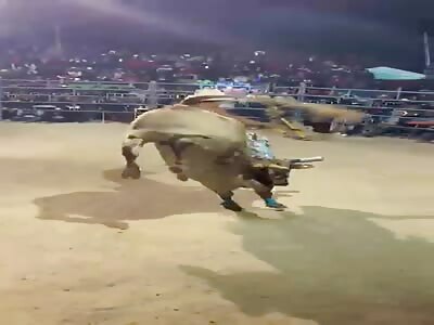 Bull uses bullfighter as a weapon